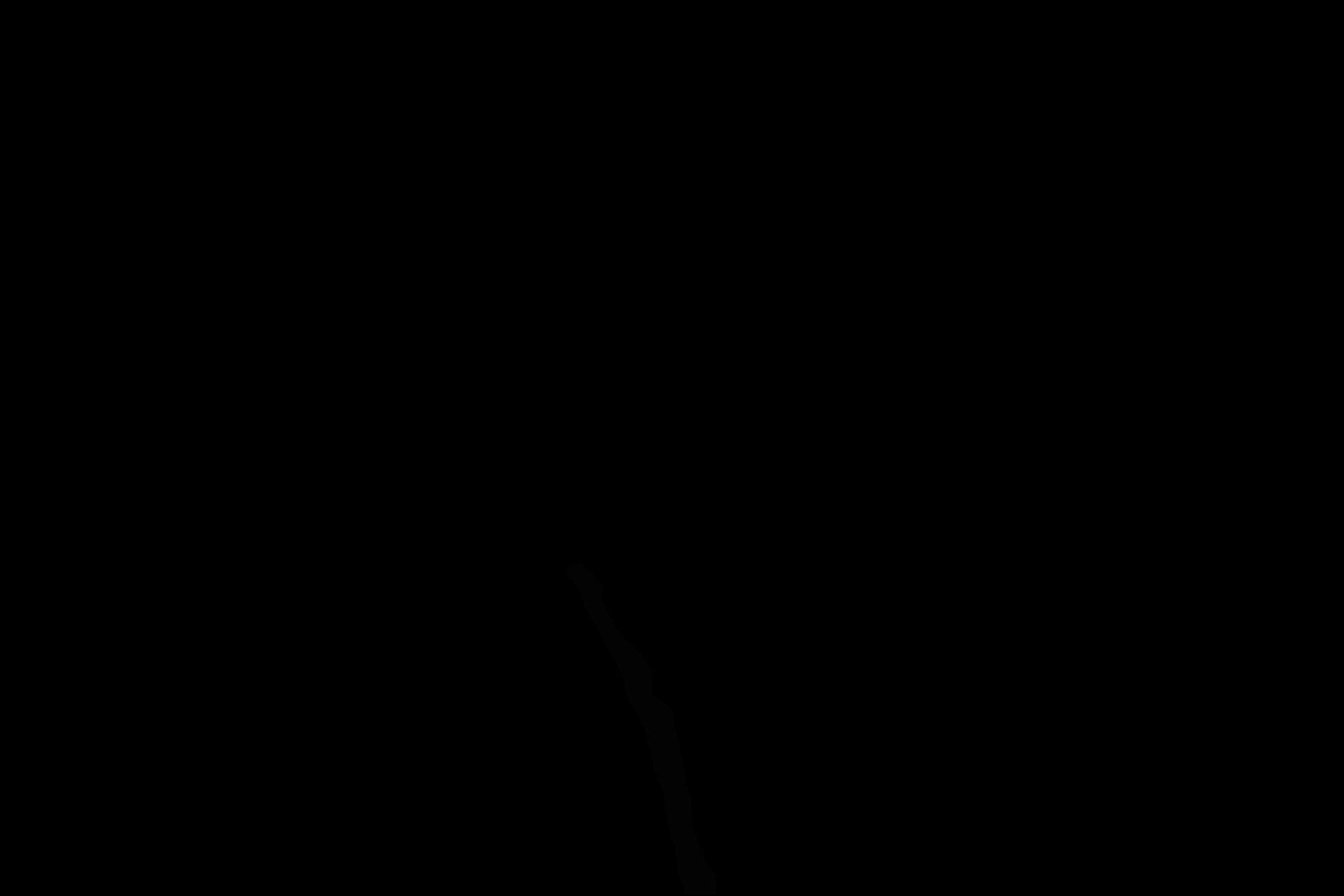 000013_mask.png