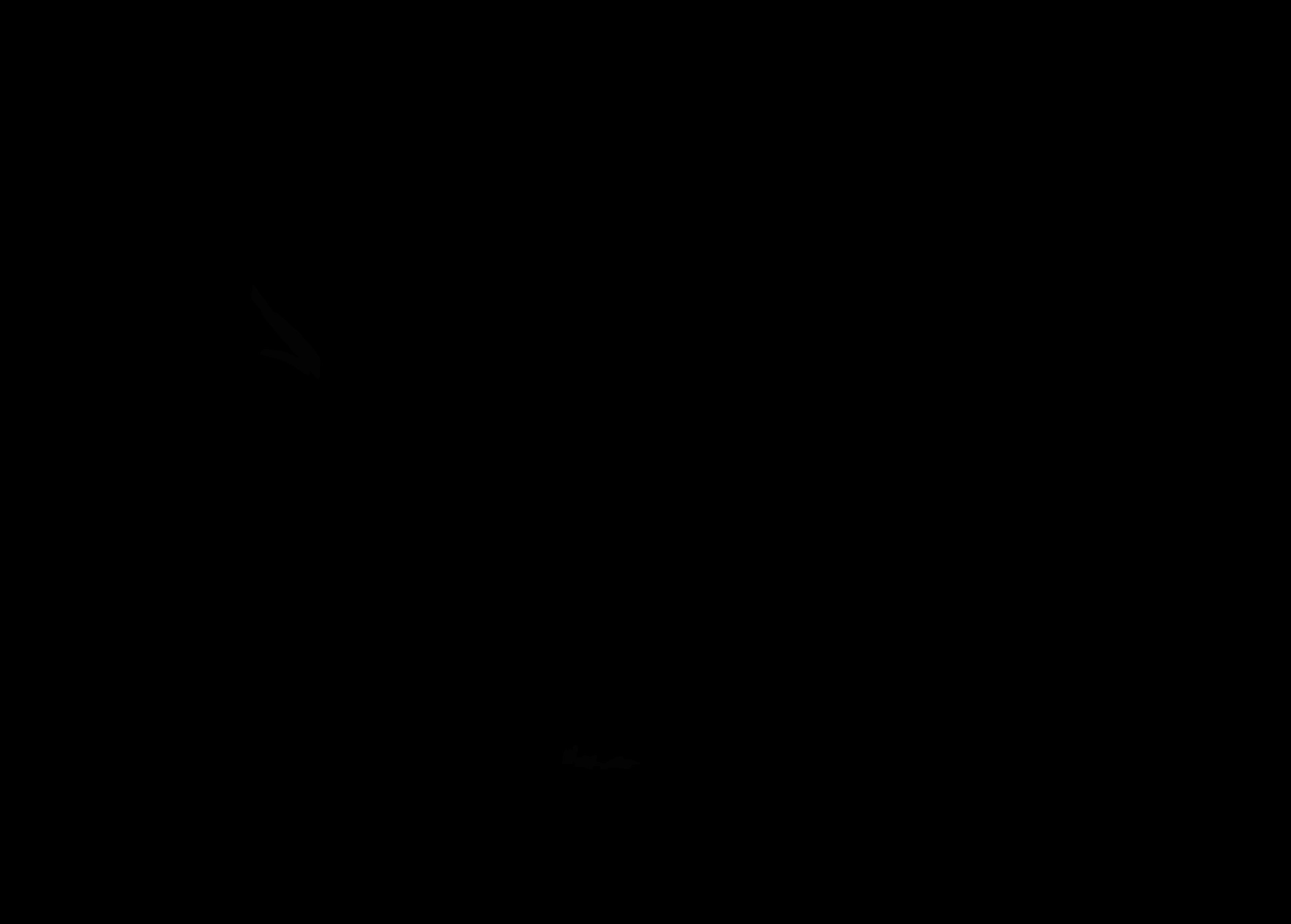 000039_mask.png