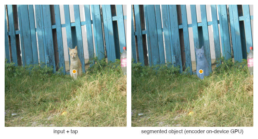 SAM 2.1 — tap to segment via the LiteRT image encoder (on-device GPU)